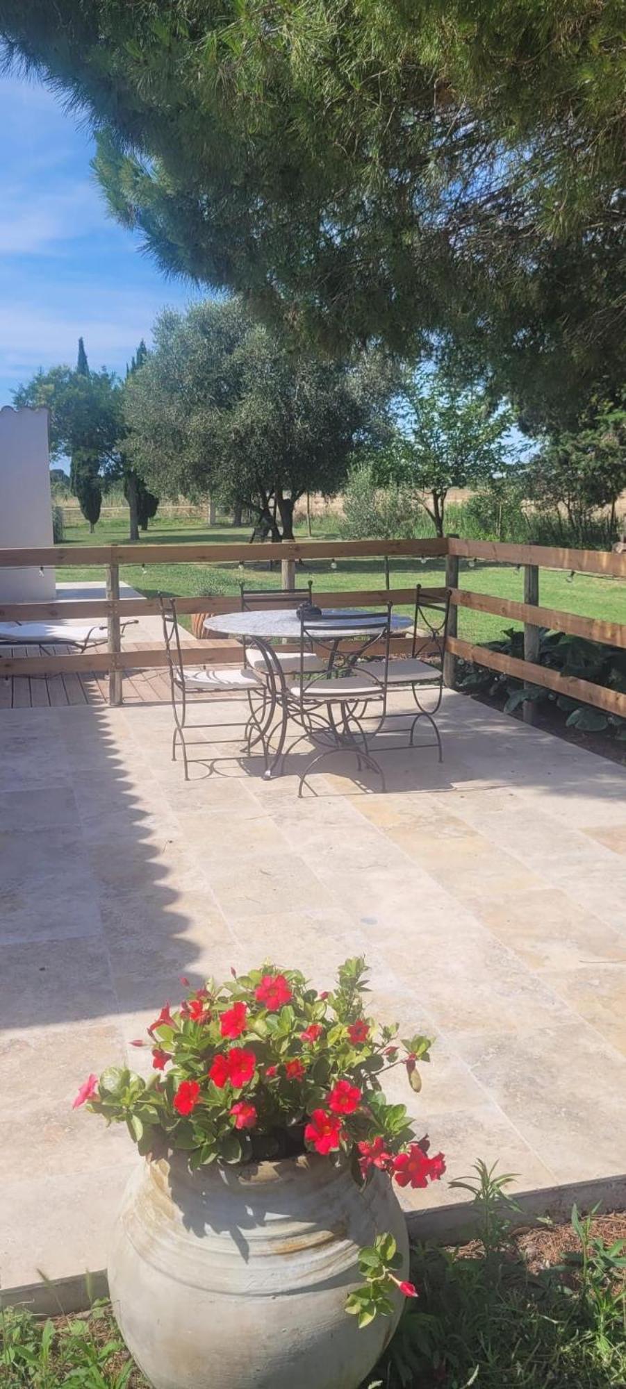 Mas Sicard D'hotes En Camargue Landhaus Arles